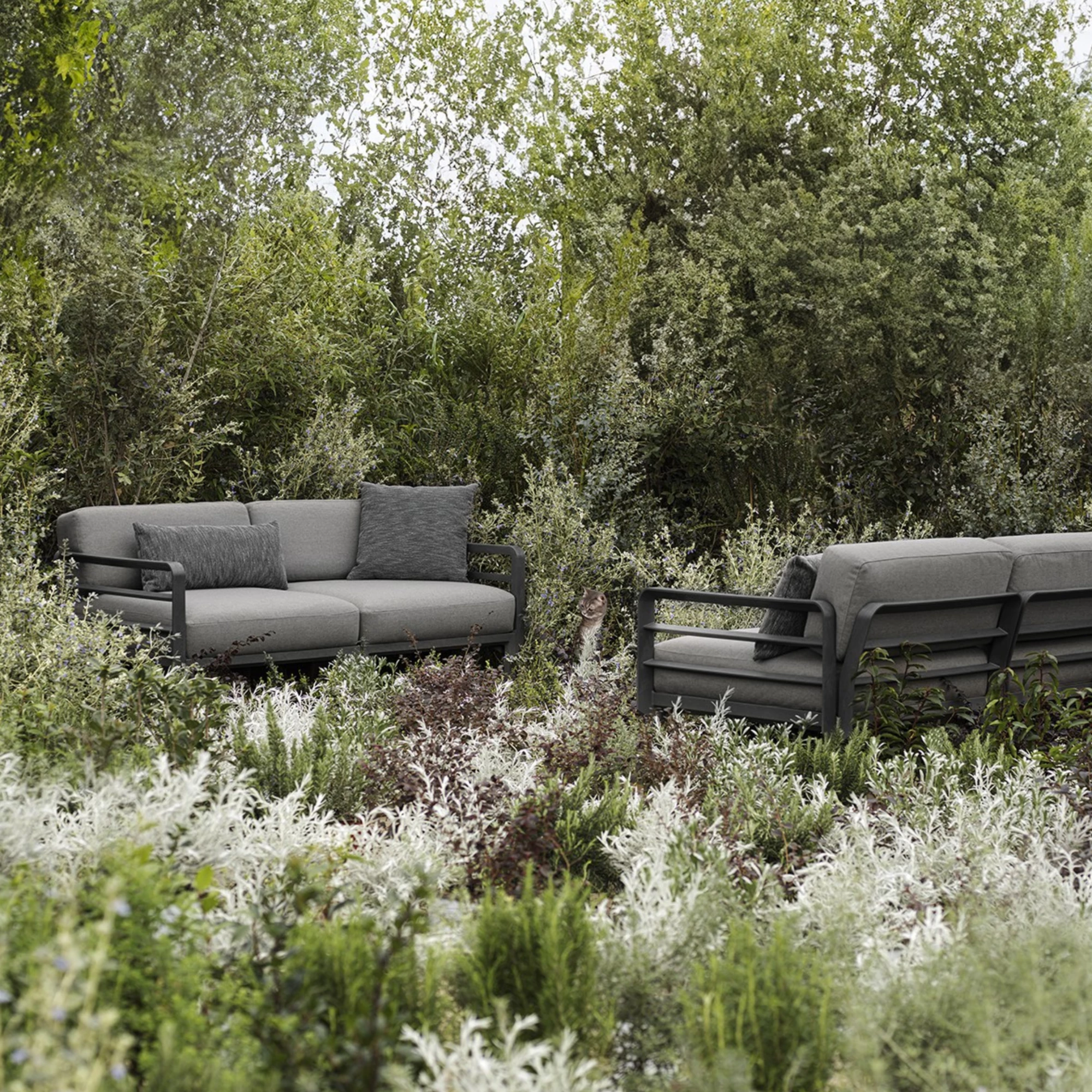 Maximo Elemento Terminale Sofa