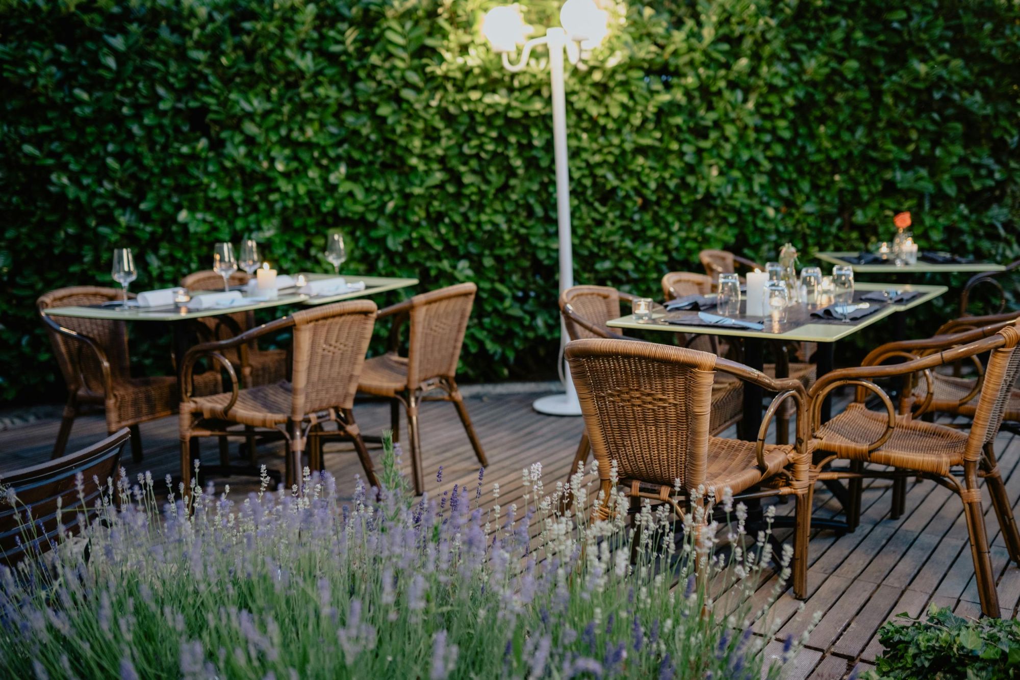 Gândește ecologic! Sustenabilitate și inovații